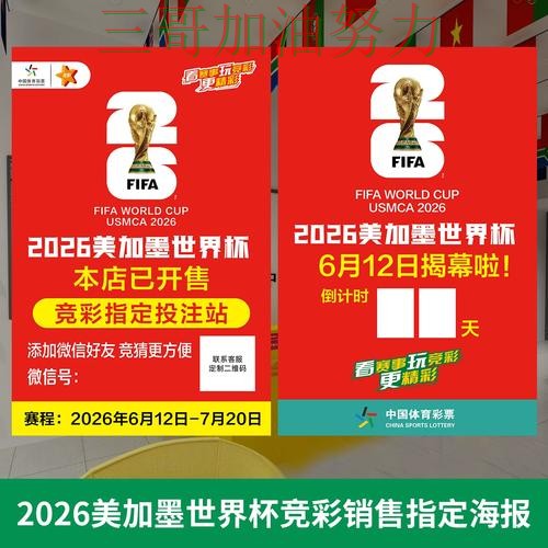 世界杯投注入口汇总总结：入口在哪关键点解析（2026世界杯）